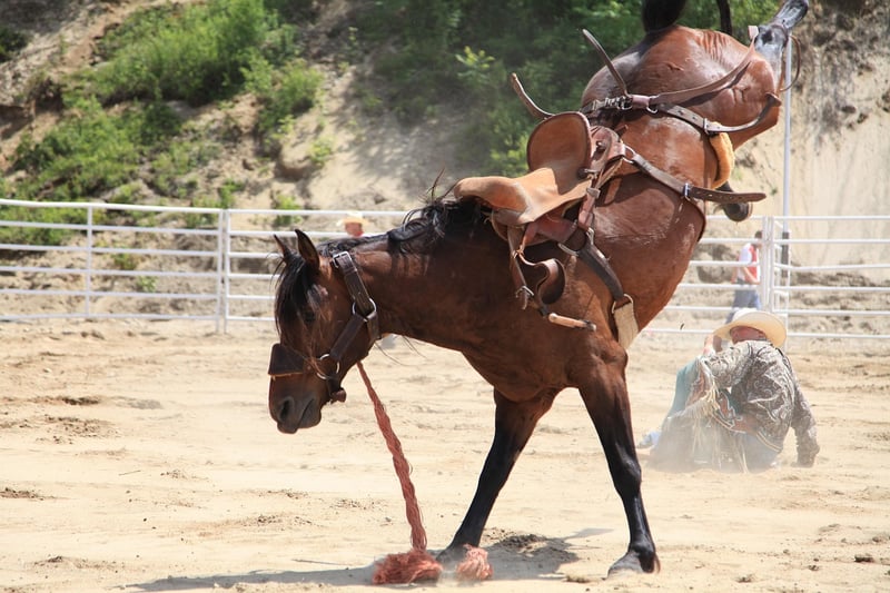 Western Horse Riding
